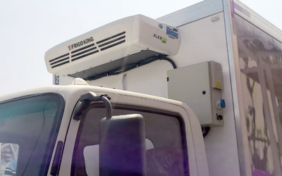 Portfólio ampliado!