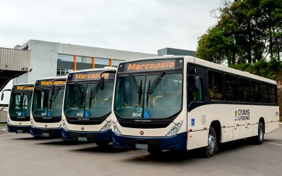 Compra caseira de Torino!