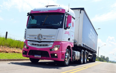 Olho no seguro Mapfre!