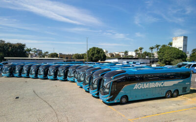 Oportunidade na Águia!