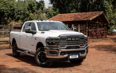 Grandonas renovadas!