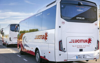 Confiança na Allison!