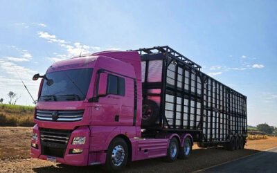 Um Meteor do meu jeito!