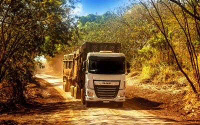 Satisfeitos com o XF!