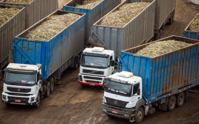 Valorização do “motora”!